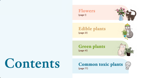 Safe Indoor Plants For Cats (E-book)