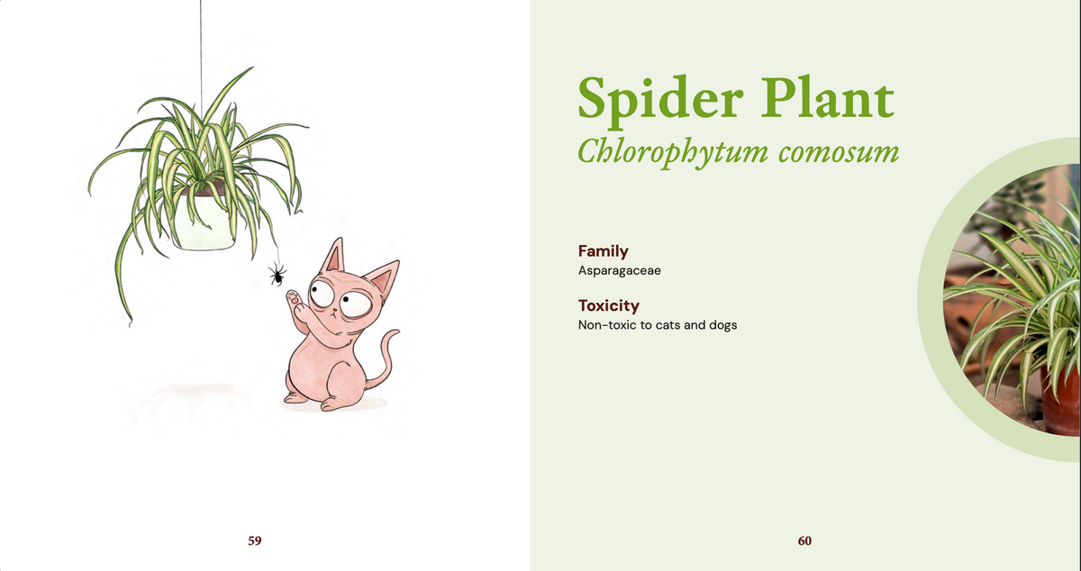 Safe Indoor Plants For Cats (Softcover)