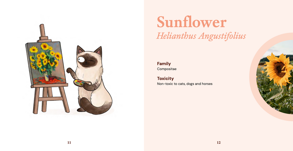 Safe Indoor Plants For Cats (Softcover)